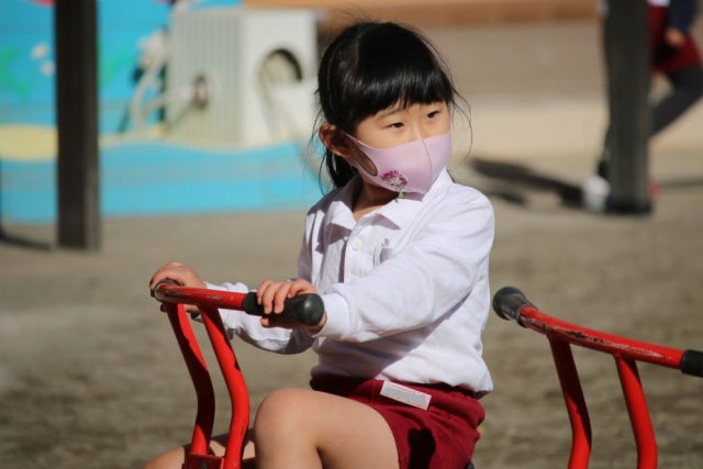 すぎのこ便り こいのぼりあがりました 杉之子幼稚園 すぎのこようちえん 横浜市西区